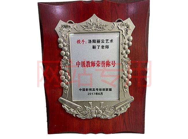資質(zhì)榮譽