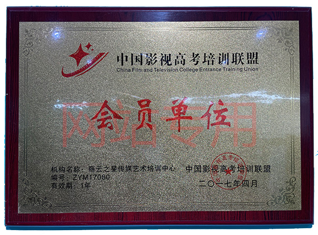資質(zhì)榮譽