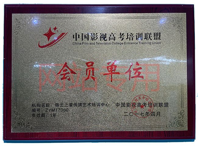 資質(zhì)榮譽