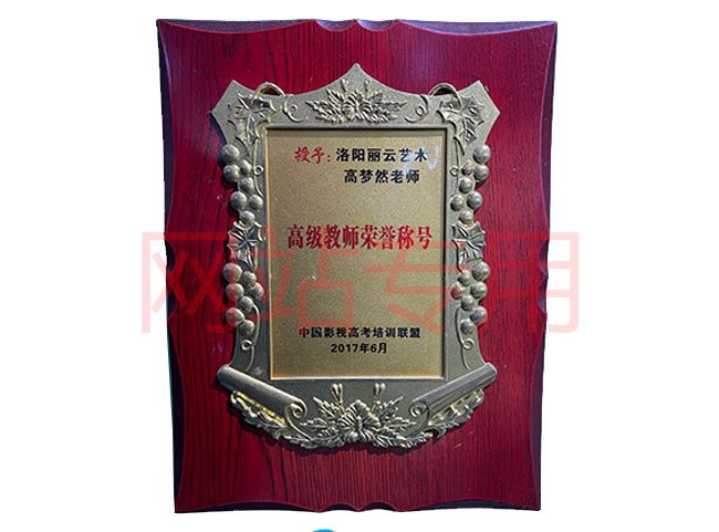 資質(zhì)榮譽